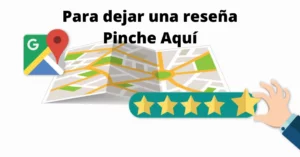 Reseña Google